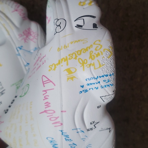 Champion slides - Picture 6 of 12